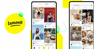 Lemon8, a nova rede social da empresa que criou o TikTok - Alsor S/A News