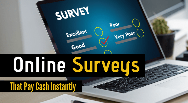Surveys That Pay Cash Instantly in 2020 [Key Facts] | Earn Onlin
